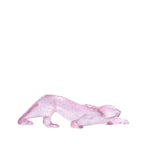 Pantera Zeila Rosada