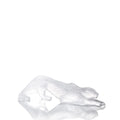 Pantera Zeila Clear Large