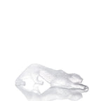Pantera Zeila Clear Large