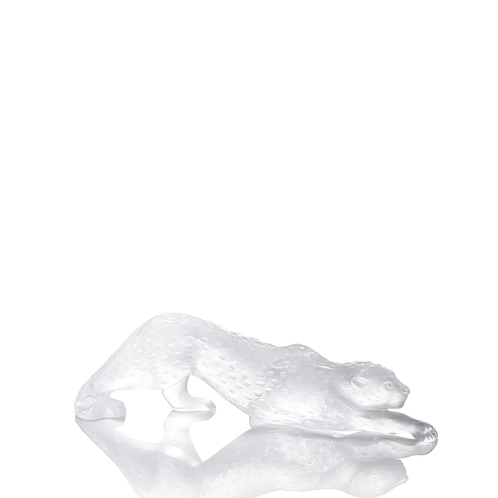 Pantera Zeila Clear Large