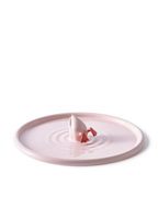 Plato Rosado Diving Duck
