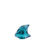 Pez Palido Turquesa