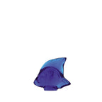 Pez Ferrat Azul