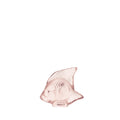 Pez Rosado