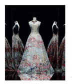 Christian Dior Designer of Dreams