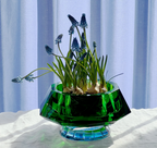 Lizzi Bowl