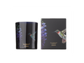 Vela Jungletopia Colibri 200g