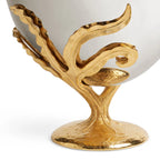 Champañera Fern