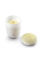 Vela Echoes of Nature Flores del Trópico