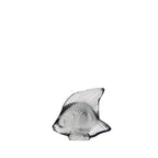 Pez Gris