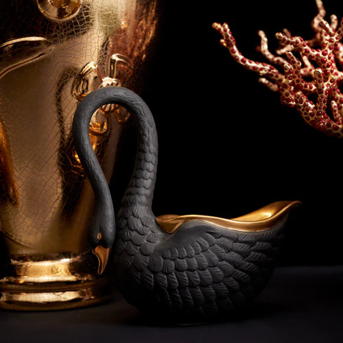 Bowl Cisne M Negro